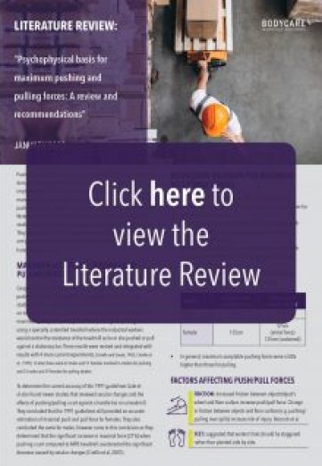 click here to view lit review- February